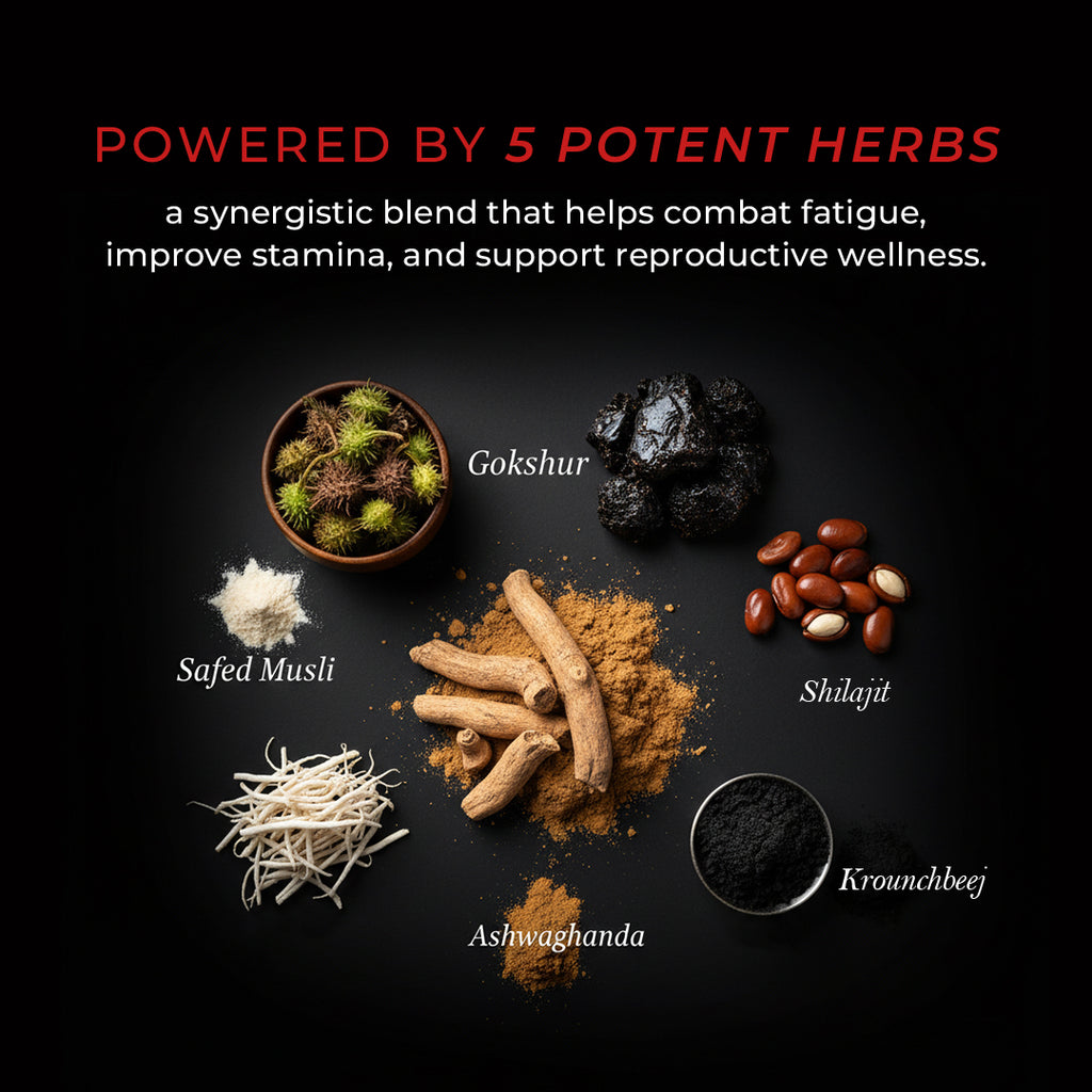 NON STOP ALPHA - Shilajit Forge Capsules 60N