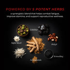 NON STOP ALPHA - Shilajit Forge Capsules 60N