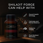 NON STOP ALPHA - Shilajit Forge Capsules 60N