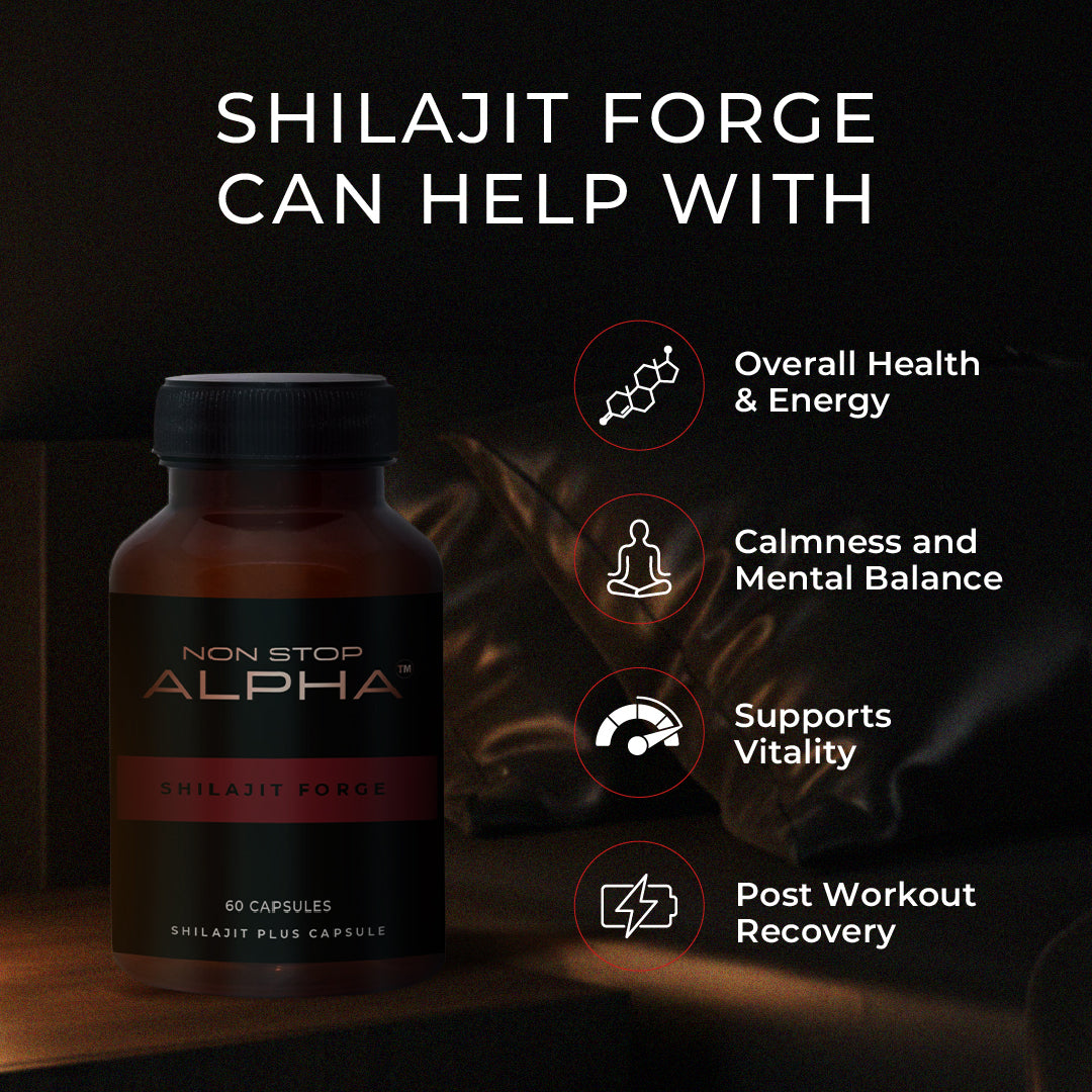 NON STOP ALPHA - Shilajit Forge Capsules 60N