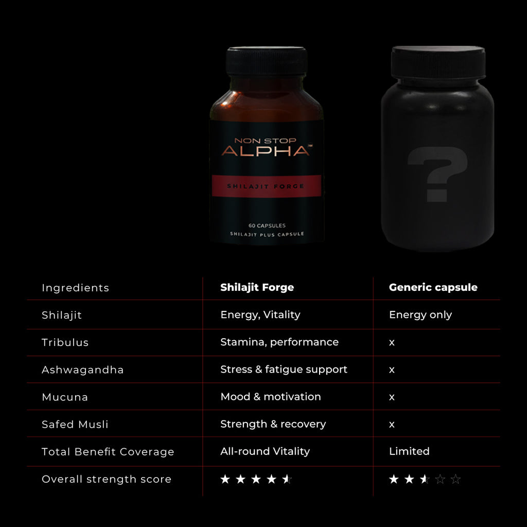 NON STOP ALPHA - Shilajit Forge Capsules 60N