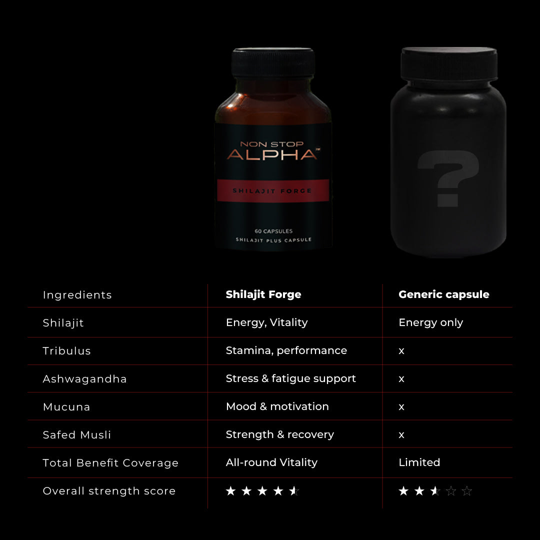 NON STOP ALPHA - Shilajit Forge Capsules 60N