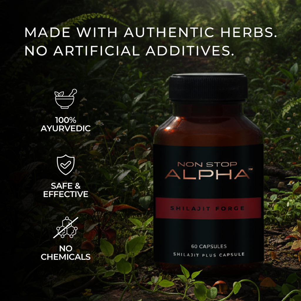 NON STOP ALPHA - Shilajit Forge Capsules 60N