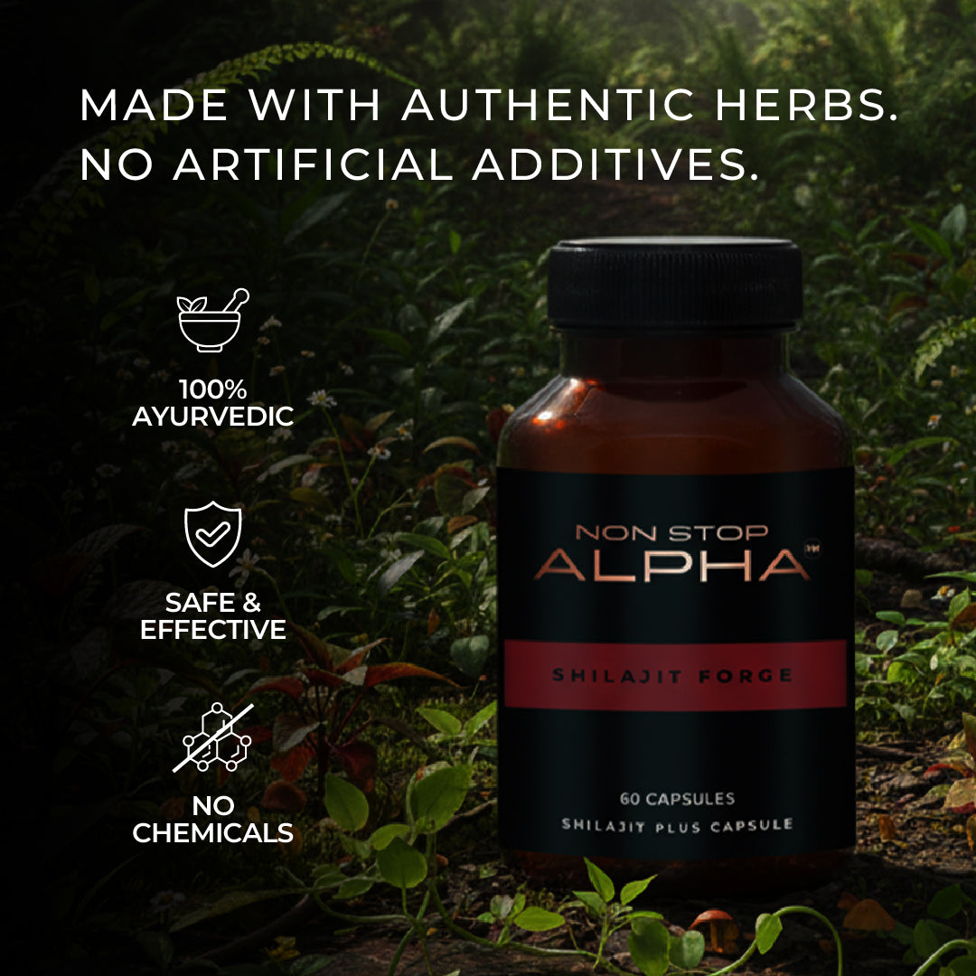 NON STOP ALPHA - Shilajit Forge Capsules 60N
