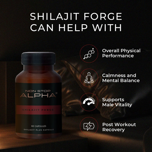NON STOP ALPHA - Shilajit Forge Capsules 60N